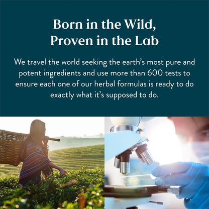 TotalViva Lymphatic Drainage